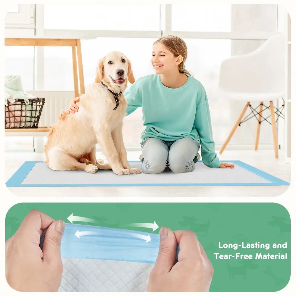 EliteShield™ | Quick - Dry Disposable Training & Pee Pads - Aura Pet Elite