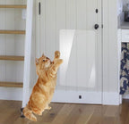 EliteShield™ | Ultra - Durable Clear Anti - Scratch Guards (Self - Adhesive) - Aura Pet Elite
