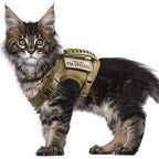 EliteSoft™ | Breathable Vest Harness with Safety Walking Rope - Aura Pet Elite