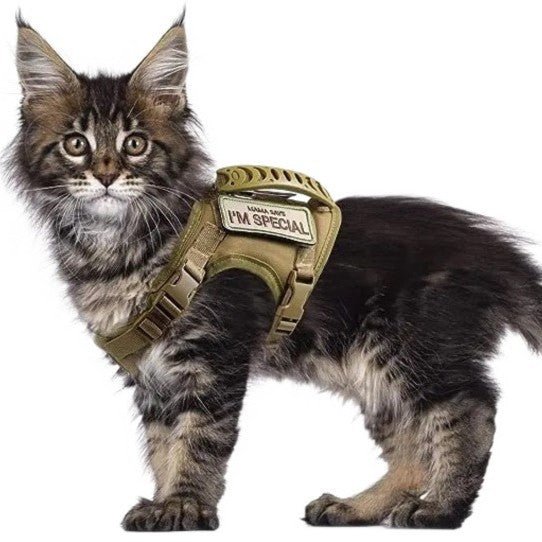 EliteSoft™ | Breathable Vest Harness with Safety Walking Rope - Aura Pet Elite