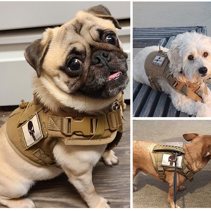 EliteSoft™ | Breathable Vest Harness with Safety Walking Rope - Aura Pet Elite