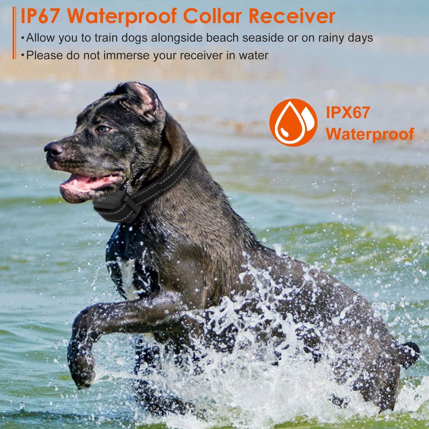 EliteTitan™ | IP67 Waterproof Precision Training Collar & Flashlight - Aura Pet Elite