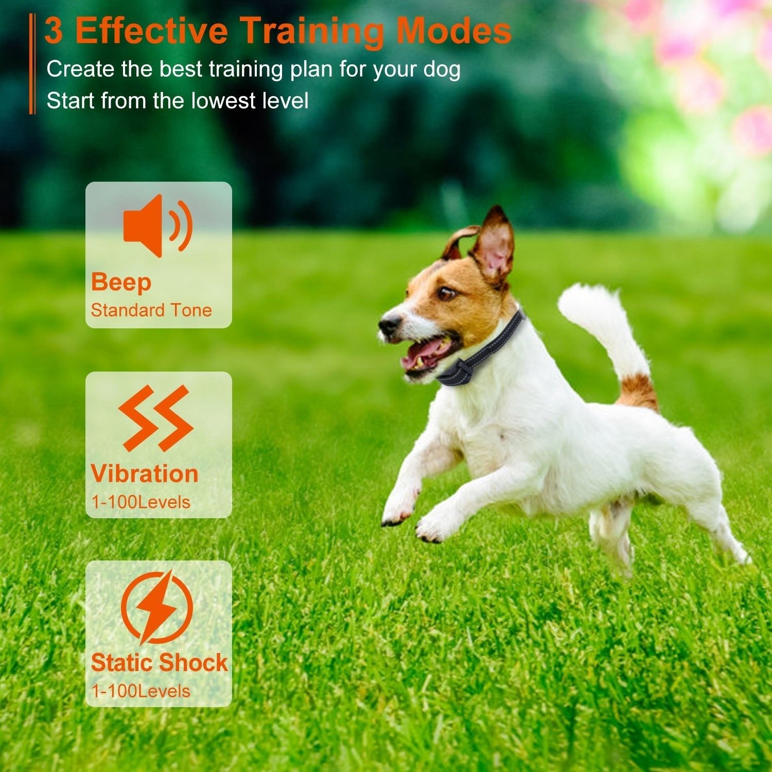 EliteTitan™ | IP67 Waterproof Precision Training Collar & Flashlight - Aura Pet Elite