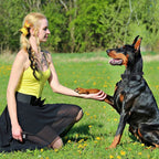 EliteTitan™ | IP67 Waterproof Precision Training Collar & Flashlight - Aura Pet Elite