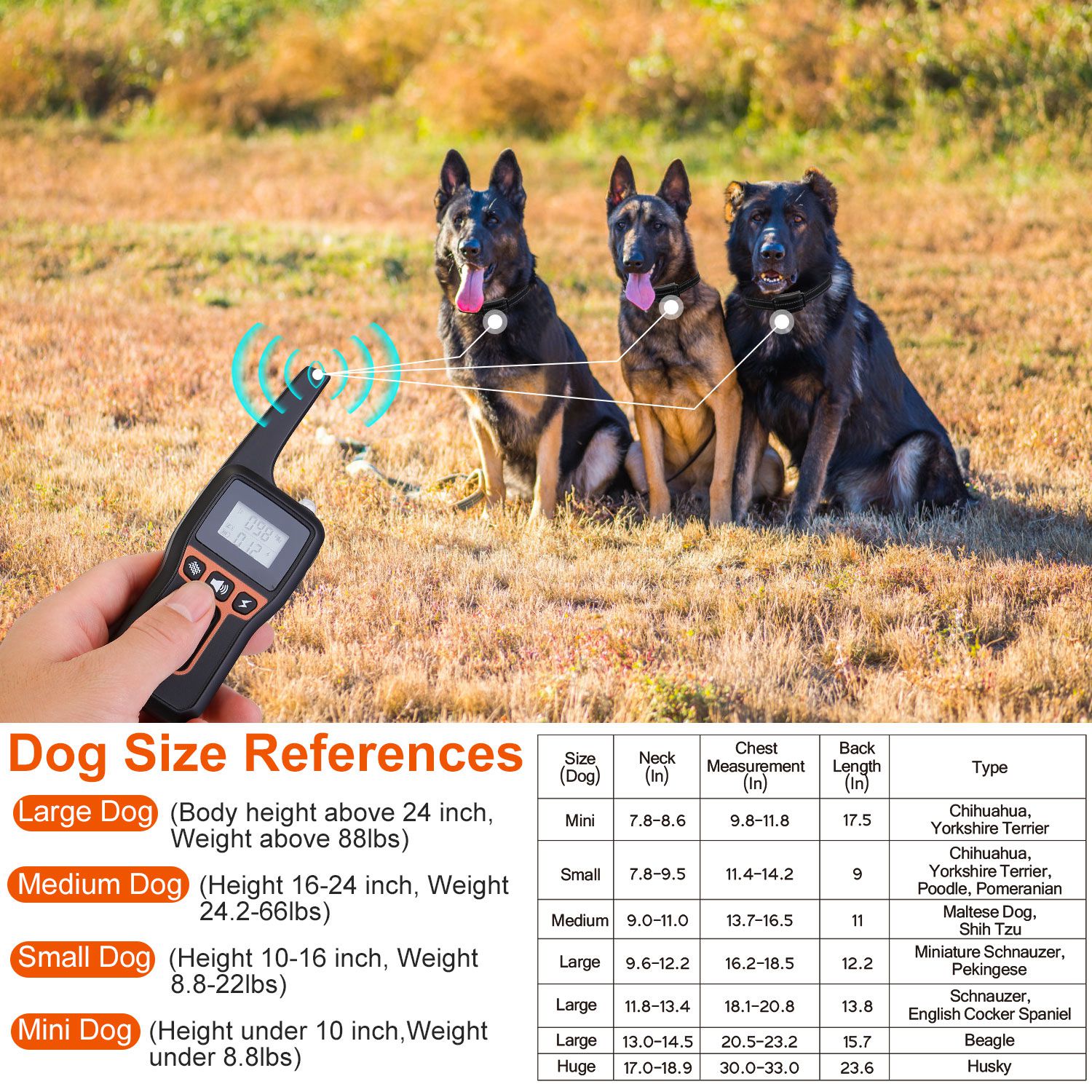 EliteTitan™ | IP67 Waterproof Precision Training Collar & Flashlight - Aura Pet Elite