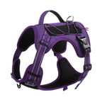 EliteTitan™ | Unstoppable Secure Walking Rope with Anti - Loose Lock - Aura Pet Elite