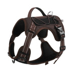 EliteTitan™ | Unstoppable Secure Walking Rope with Anti - Loose Lock - Aura Pet Elite