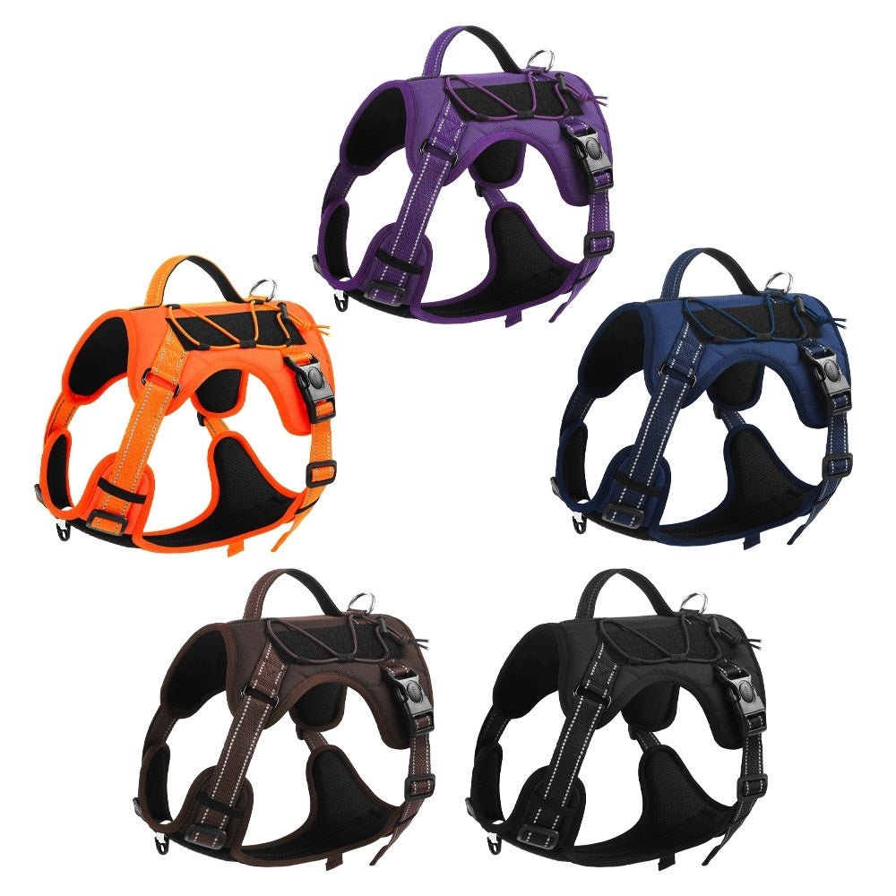 EliteTitan™ | Unstoppable Secure Walking Rope with Anti - Loose Lock - Aura Pet Elite