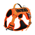 EliteTitan™ | Unstoppable Secure Walking Rope with Anti - Loose Lock - Aura Pet Elite