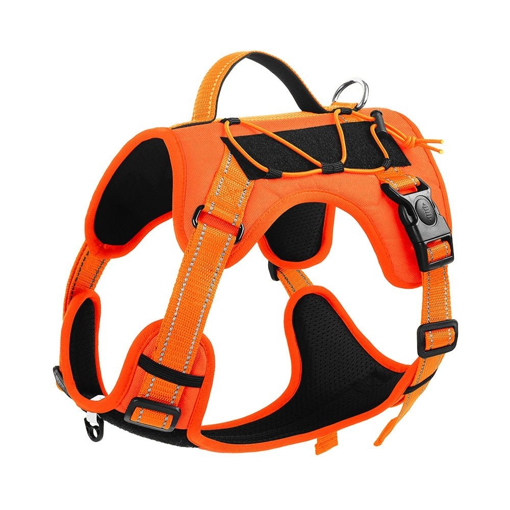 EliteTitan™ | Unstoppable Secure Walking Rope with Anti - Loose Lock - Aura Pet Elite