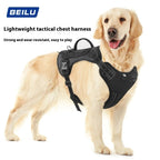 EliteTitan™ | Unstoppable Secure Walking Rope with Anti - Loose Lock - Aura Pet Elite