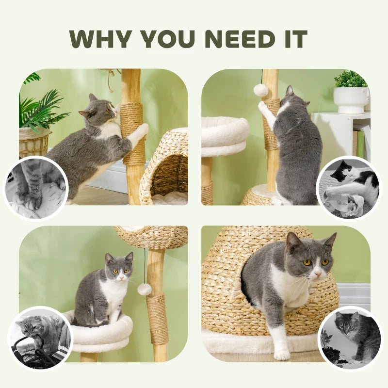 EliteZen™ | Modern Wood Cat Tree with Plush Beds & Play Spheres - Aura Pet Elite