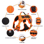 EliteTitan™ | Unstoppable Secure Walking Rope with Anti-Loose Lock