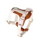 EliteSafe™ | Escape-Proof Mesh Harness - All-Day Comfort Walking Set with Heavy-Duty Leash