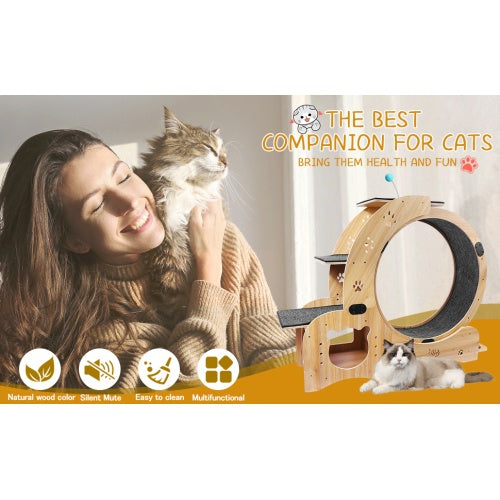 AuraPlay™ Velocity 6 | Premium Feline Gym – High-Performance Running Wheel with Integrated Play & Rest Zones