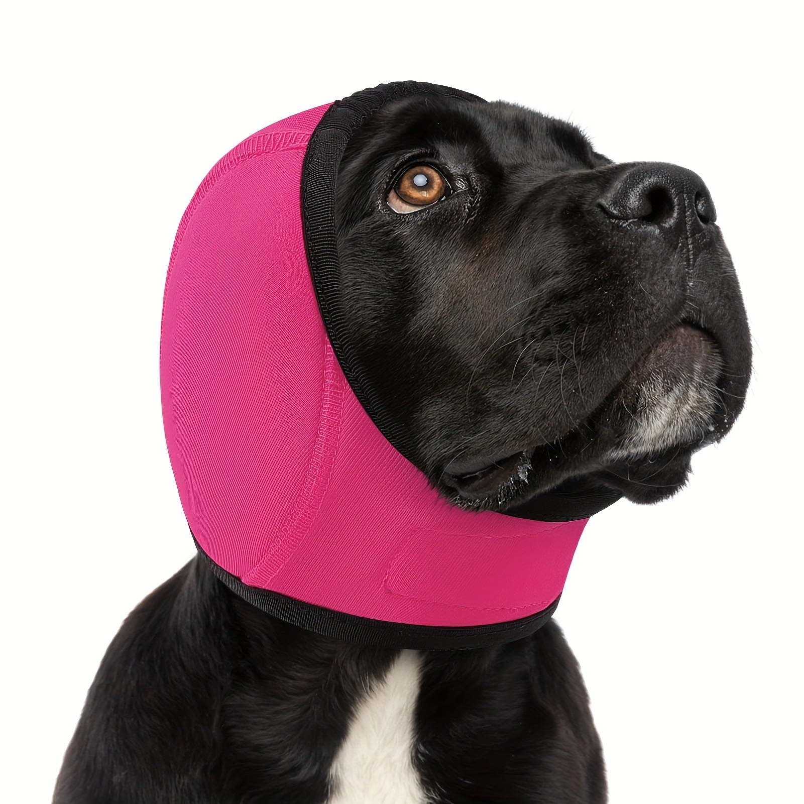AuraGuard™ Storm-Cap | All-Weather Waterproof Head Cover – Insulated Ear Protector for Rain, Swim & Winter Comfort
