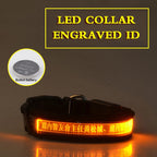 EliteLume™ | Night-Safety Radium Dog Collar - Custom Carved ID & High-Visibility