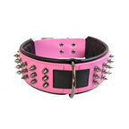HeritageBark™ | Handcrafted Leather & Paisley Scarf Collar - Aura Pet Elite