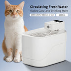 Intelligent Sensor Pet Drinking Fountain 2000ML Large Capacity, USB Charging Wireless Water Feeder, Ultra Quiet Anti - Dry Burn Water Dispenser With Filter For Pets - Aura Pet Elite