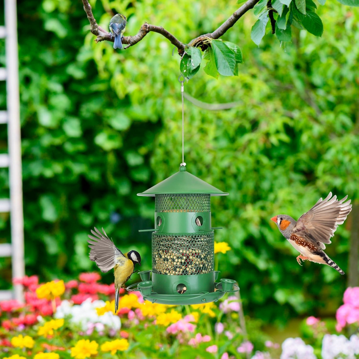 IronGuard™ | Squirrel - Proof Metal Bird Fortress - Aura Pet Elite