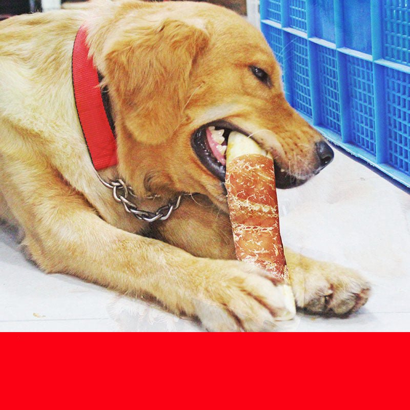 OralGuard™ | Advanced Plaque - Removing Chew Station - Aura Pet Elite