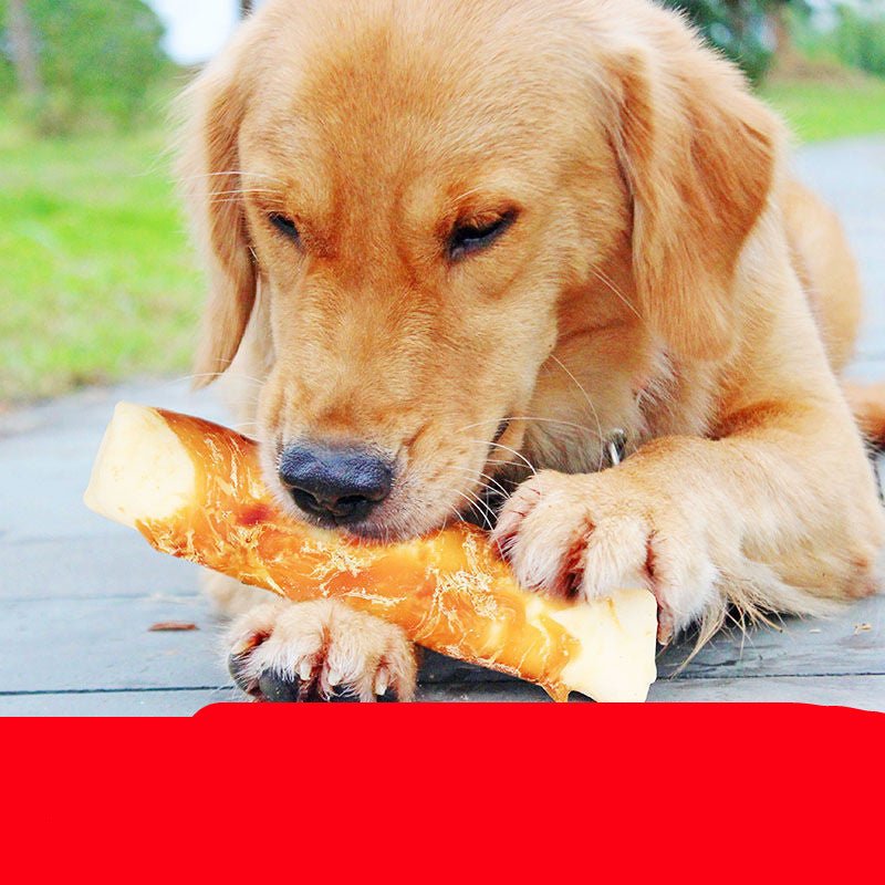 OralGuard™ | Advanced Plaque - Removing Chew Station - Aura Pet Elite