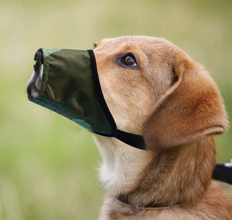 PureQuiet™ | Ergonomic Bark Stopper & Safety Muzzle - Aura Pet Elite