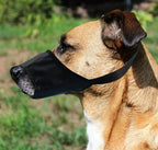 PureQuiet™ | Ergonomic Bark Stopper & Safety Muzzle - Aura Pet Elite