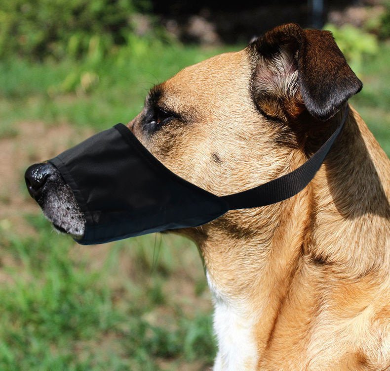 PureQuiet™ | Ergonomic Bark Stopper & Safety Muzzle - Aura Pet Elite