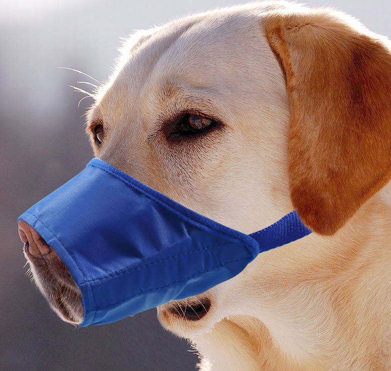PureQuiet™ | Ergonomic Bark Stopper & Safety Muzzle - Aura Pet Elite