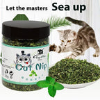 PurrVeda™ | Natural Digestive Catnip Powder & Euphoria Blend - Aura Pet Elite