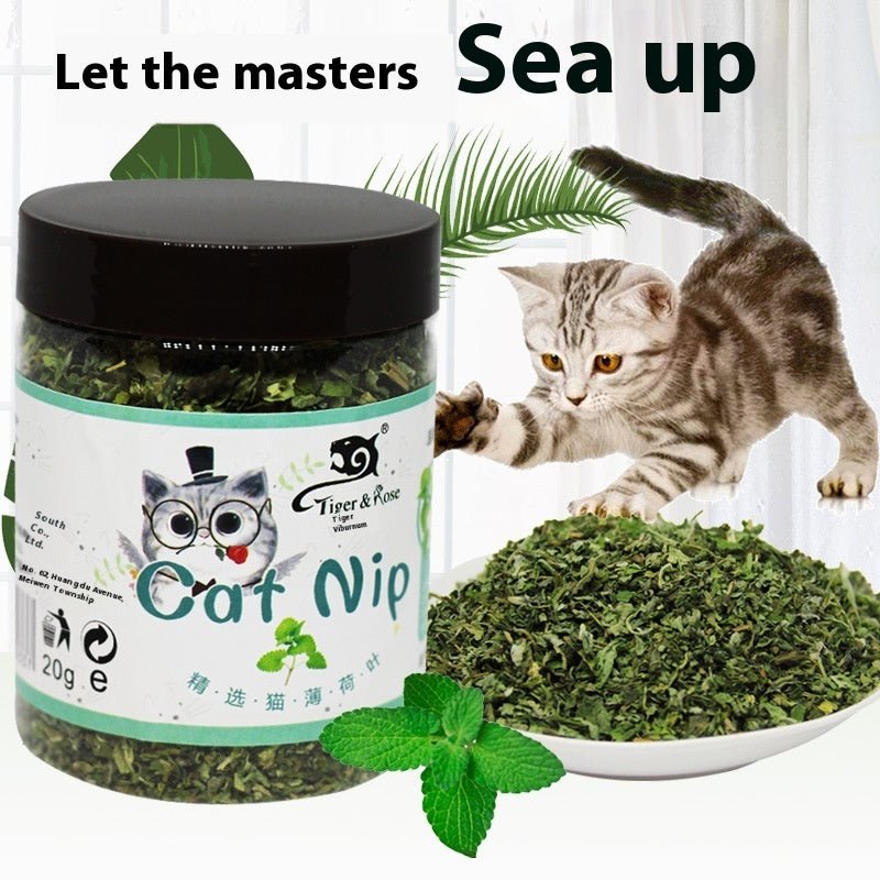 PurrVeda™ | Natural Digestive Catnip Powder & Euphoria Blend - Aura Pet Elite