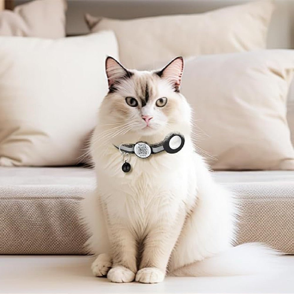 ScanFind™ | 24/7 Global Access QR Tracking Collar - Aura Pet Elite