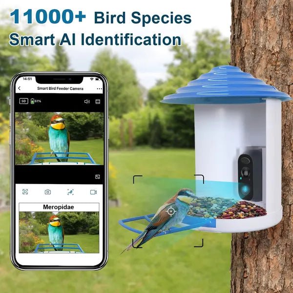 Smart Bird Feeder With Solar Powered Camera 1080P HD AI Identify PIR Motion Auto Capture Video Cloud Card Storage WiFi Connection App Control IP65 Waterproof - Aura Pet Elite