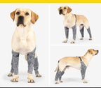 StormPaw™ | Full - Coverage Waterproof Outdoor Overalls - Aura Pet Elite