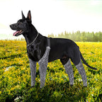 StormPaw™ | Full - Coverage Waterproof Outdoor Overalls - Aura Pet Elite