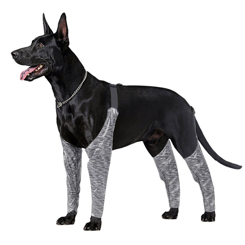 StormPaw™ | Full - Coverage Waterproof Outdoor Overalls - Aura Pet Elite
