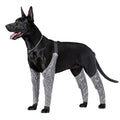 StormPaw™ | Full - Coverage Waterproof Outdoor Overalls - Aura Pet Elite