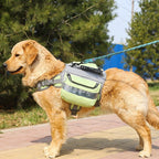 SummitPack™ | Ergonomic Large Breed Outdoor Explorer Vest - Aura Pet Elite