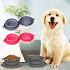 VentureBowl™ | Collapsible Dual - Pet Feeding Station - Aura Pet Elite
