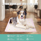 VetiDry™ | Color - Changing Diagnostic Training Pads - Aura Pet Elite
