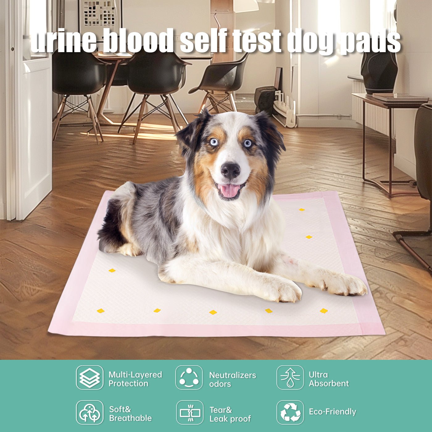 VetiDry™ | Color - Changing Diagnostic Training Pads - Aura Pet Elite